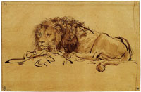 Rembrandt Lion Resting