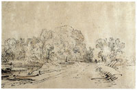 Rembrandt A Wooded Road