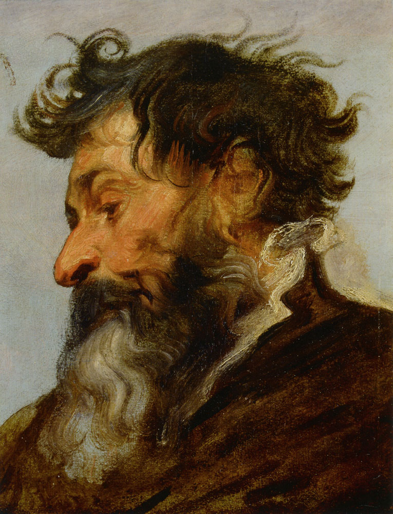 Anthony van Dyck - Study of an Old Man