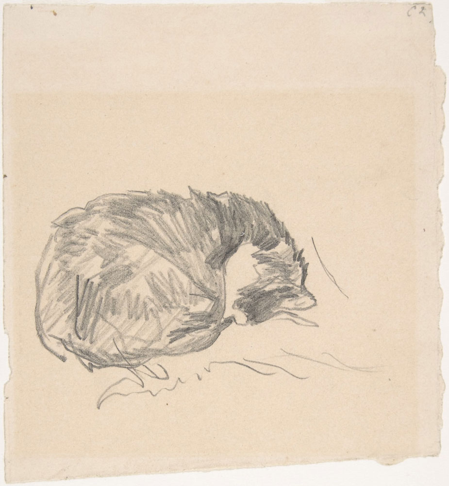 Edouard Manet - A Cat Curled Up, Sleeping