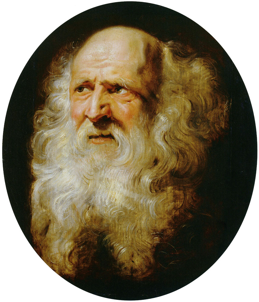 Peter Paul Rubens - Head of an Old Man with Curly Beard