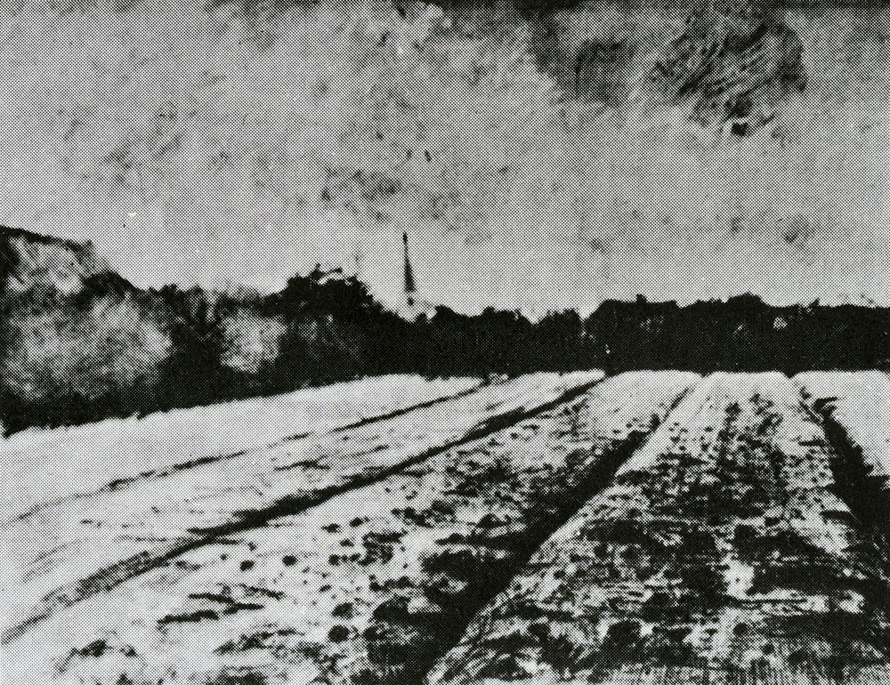 Vincent van Gogh - Barren Field