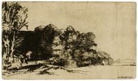 Rembrandt Clump of trees with a vista