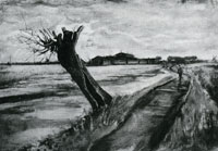 Vincent van Gogh Pollard Willow