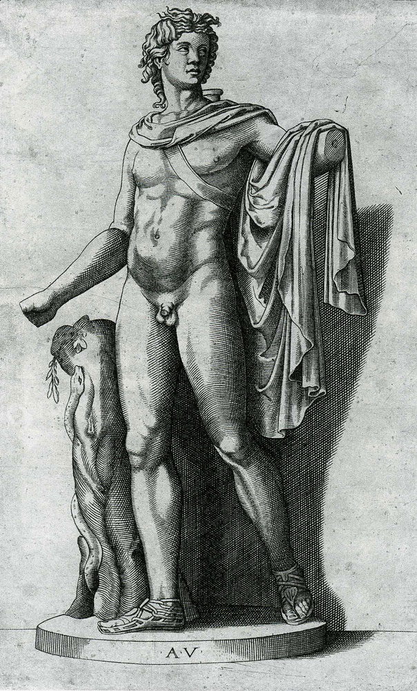 Agostino Veneziano after Marcantonio Raimondi - Apollo Belvedere Standing next to a Column with the Python