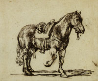 Govert Flinck Study of a Horse