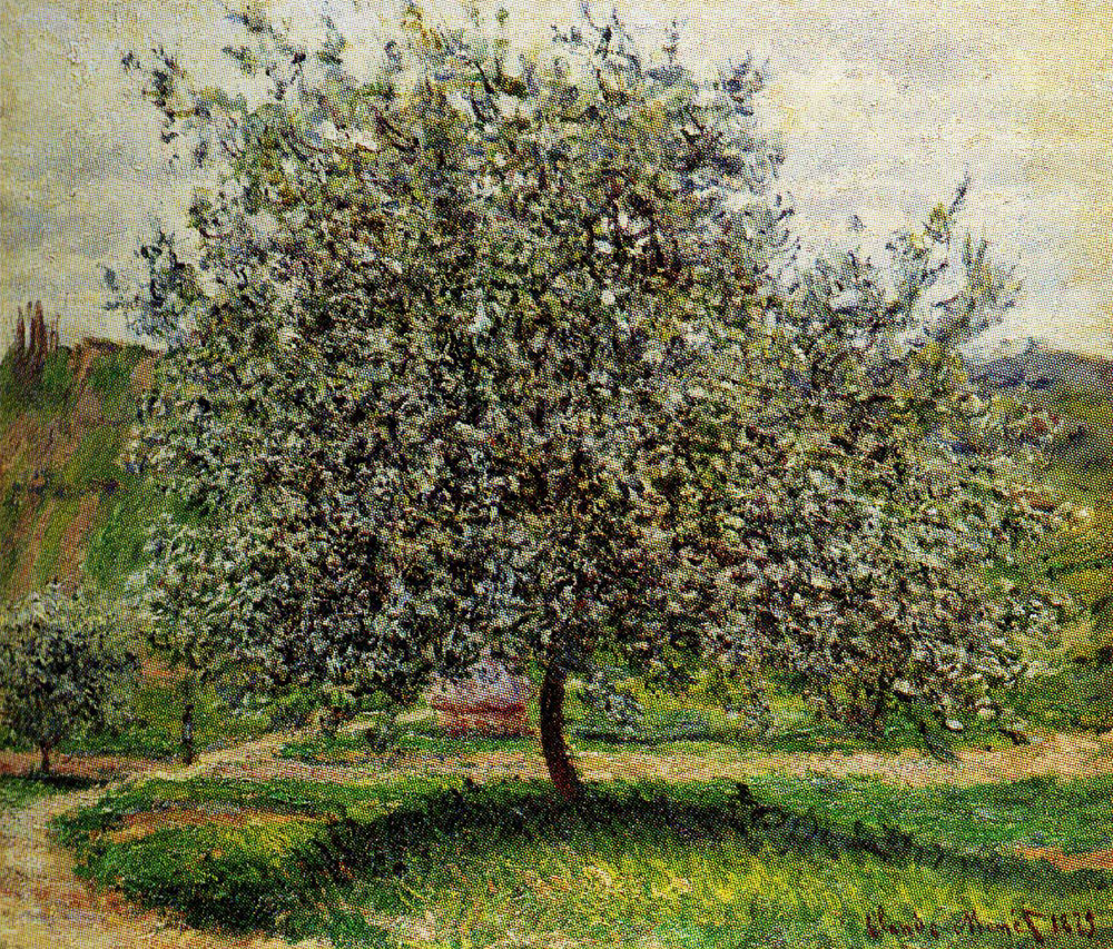 Claude Monet - The Apple Tree