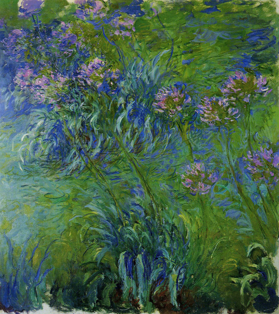 Claude Monet - A Bed of Agapanthus
