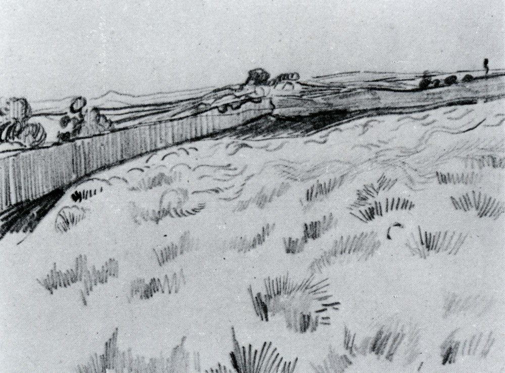 Vincent van Gogh - Enclosed Field