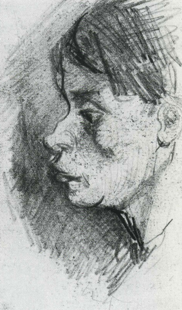 Vincent van Gogh - Head of a Peasant Woman, Bareheaded