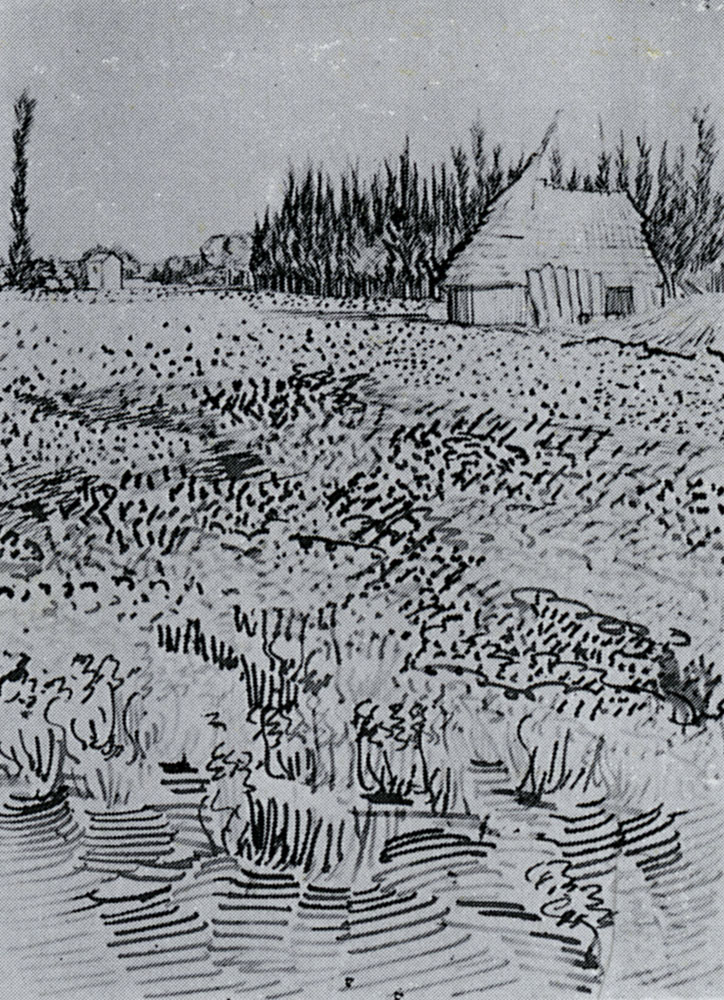 Vincent van Gogh - Landscape with Hut in the Camargue