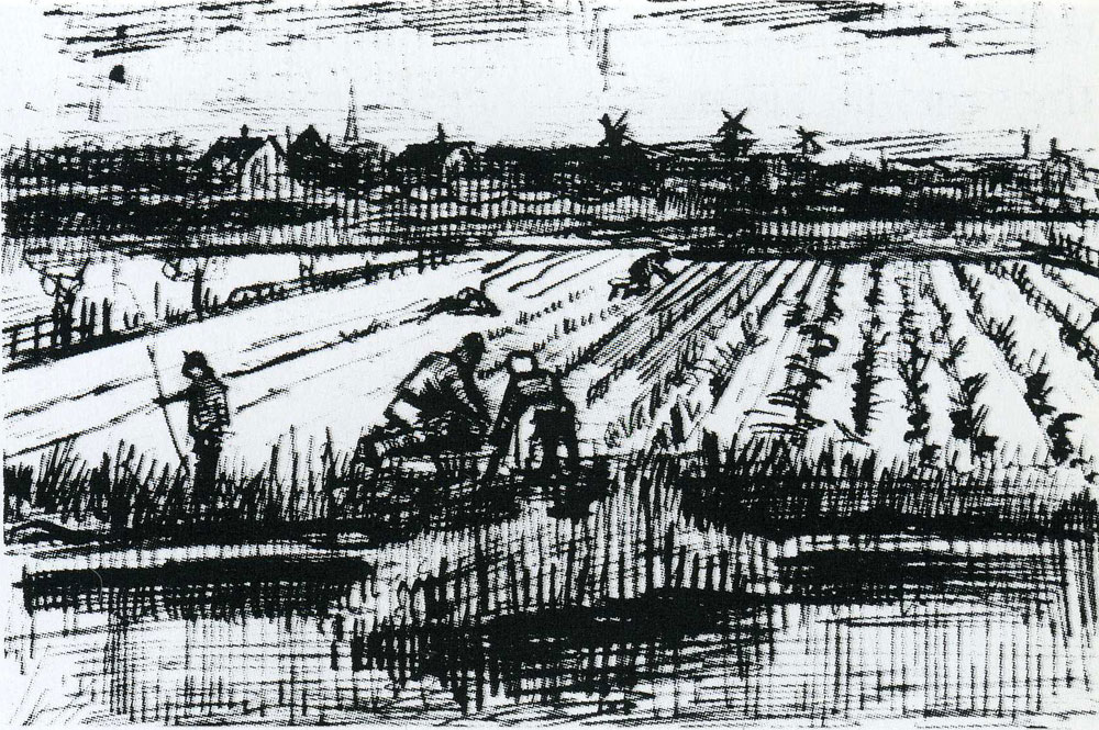 Vincent van Gogh - Potato Field