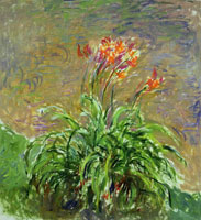 Claude Monet Hemerocallis
