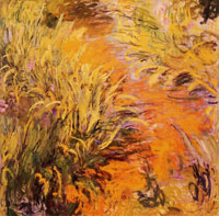 Claude Monet Irises along the Path