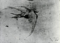 Vincent van Gogh Swallows in Flight