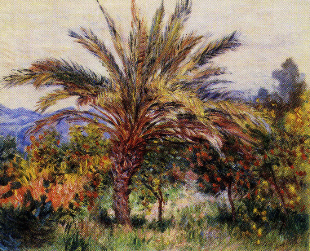 Claude Monet - A Palm Tree at Bordighera