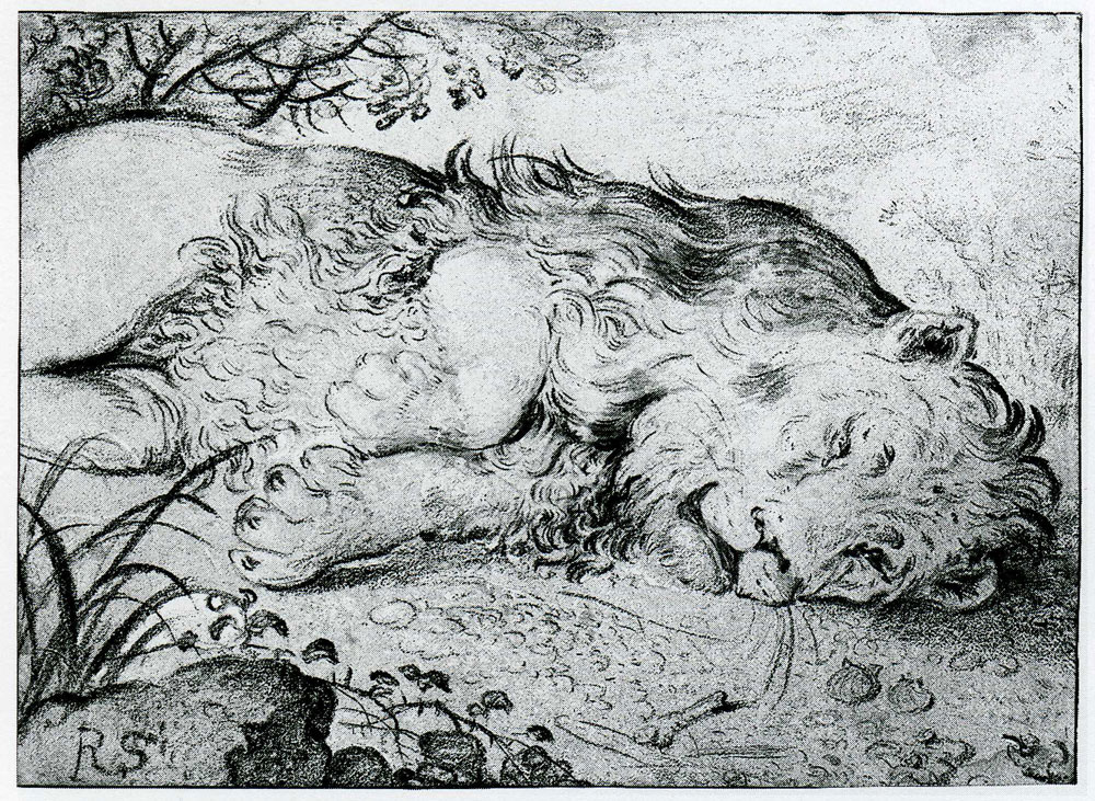 Roelandt Savery - Sleeping Lion
