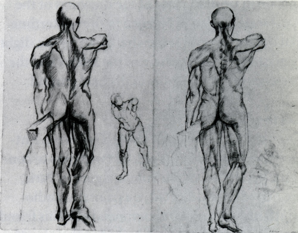 Vincent van Gogh - Drawing Model: the Muscles of the Male Body, Back
