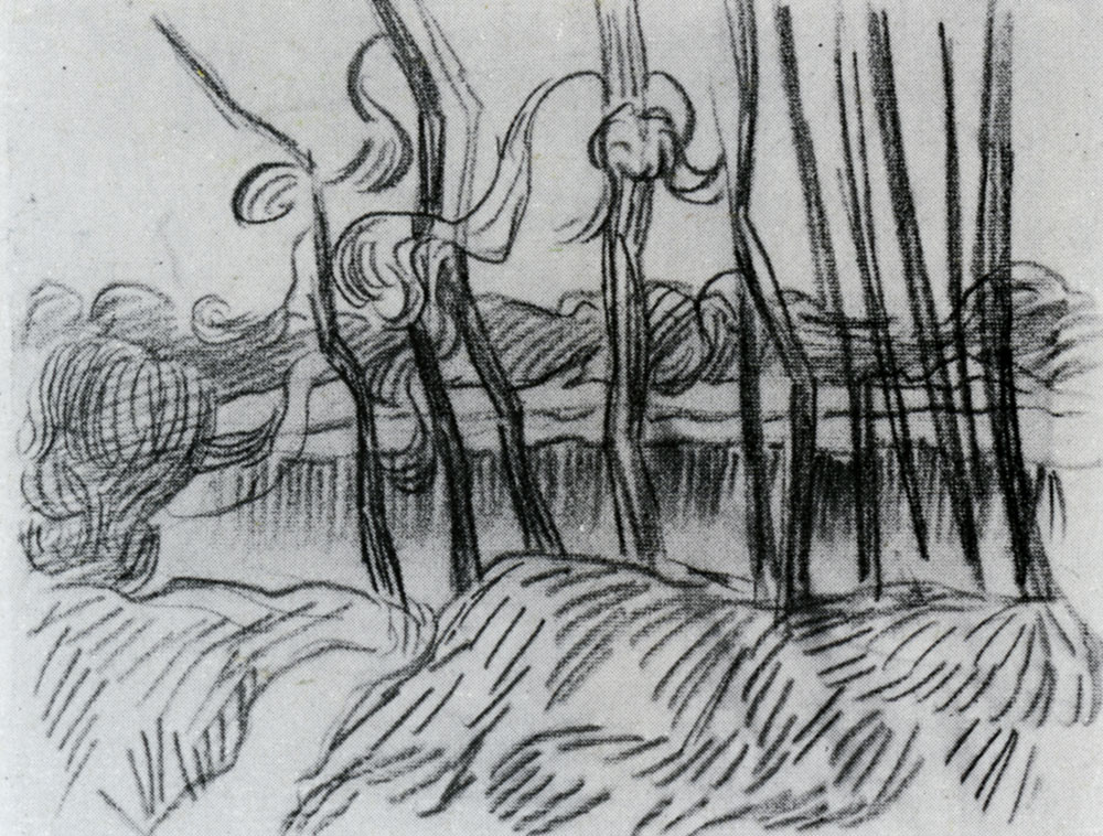 Vincent van Gogh - A Row of Bare Trees