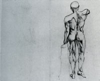 Vincent van Gogh Drawing Model: the Muscles of the Male Body, Back