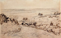 Vincent van Gogh The Plain of La Crau