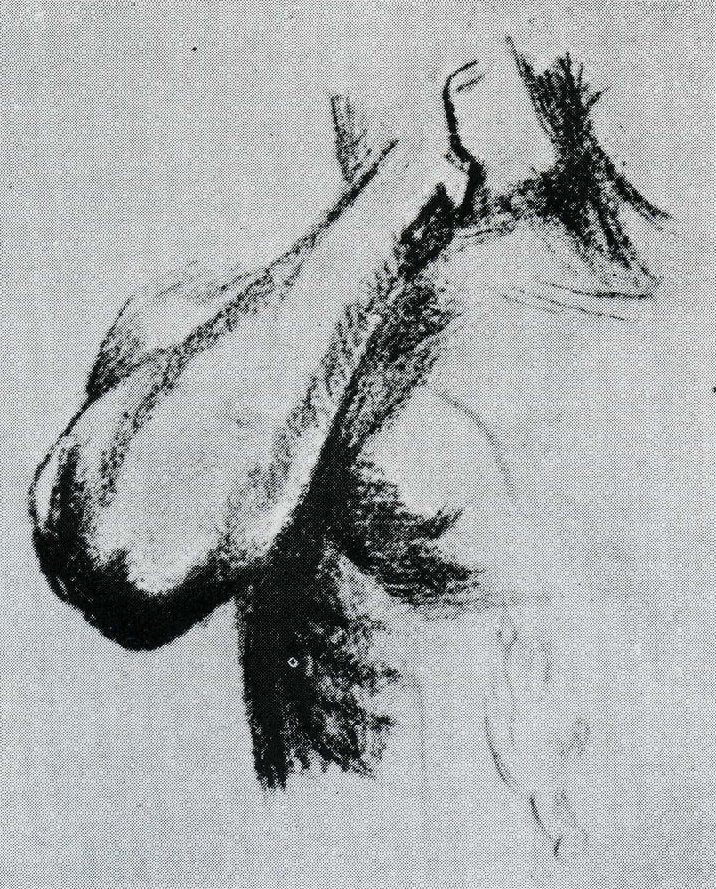 Vincent van Gogh - Sketch of a Right Arm and Shoulder
