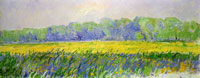 Claude Monet Field of Irises in the Morning