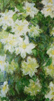 Claude Monet White Clematis
