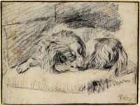 Frans van Mieris the Elder Sleeping Spaniel