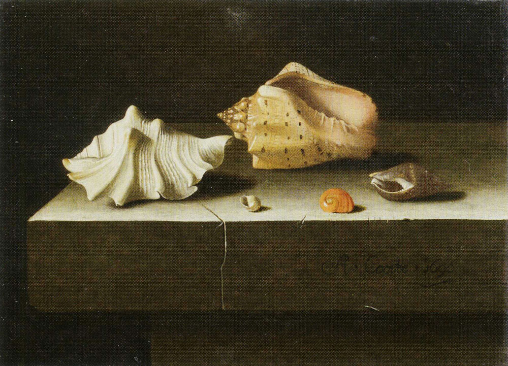Adriaen Coorte - Still-life with Seashells
