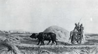 Jean-Léon Gérôme The Egyptian Grain-Cutter (Straw-Cutting in Egypt)