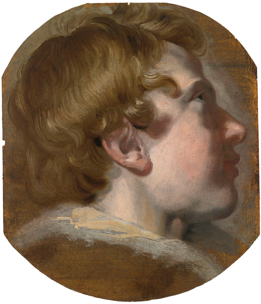 Pieter van Mol - Study of a Boy's Head