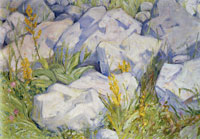 Franz Marc Little Study of Stones