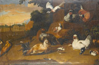 Circle of Peter Casteels Chickens, chicks and snipe in a landscape