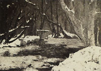Franz Marc Würm near Pipping (Forest Interior)