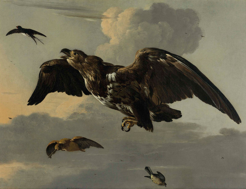 Melchior d'Hondecoeter - An eagle, swallow, snipe and finch in flight
