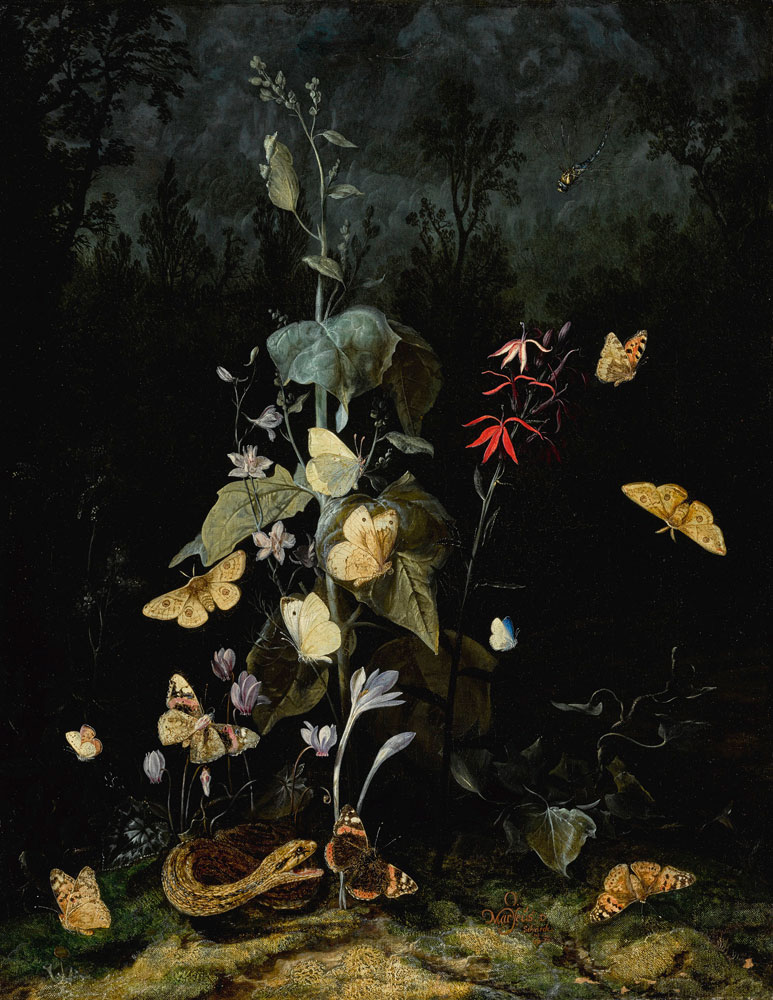Otto Marseus van Schrieck - Still Life of Wild Flowers