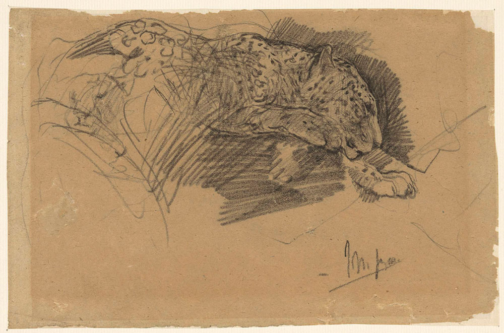 John Macallan Swan - Studies of a Leopard