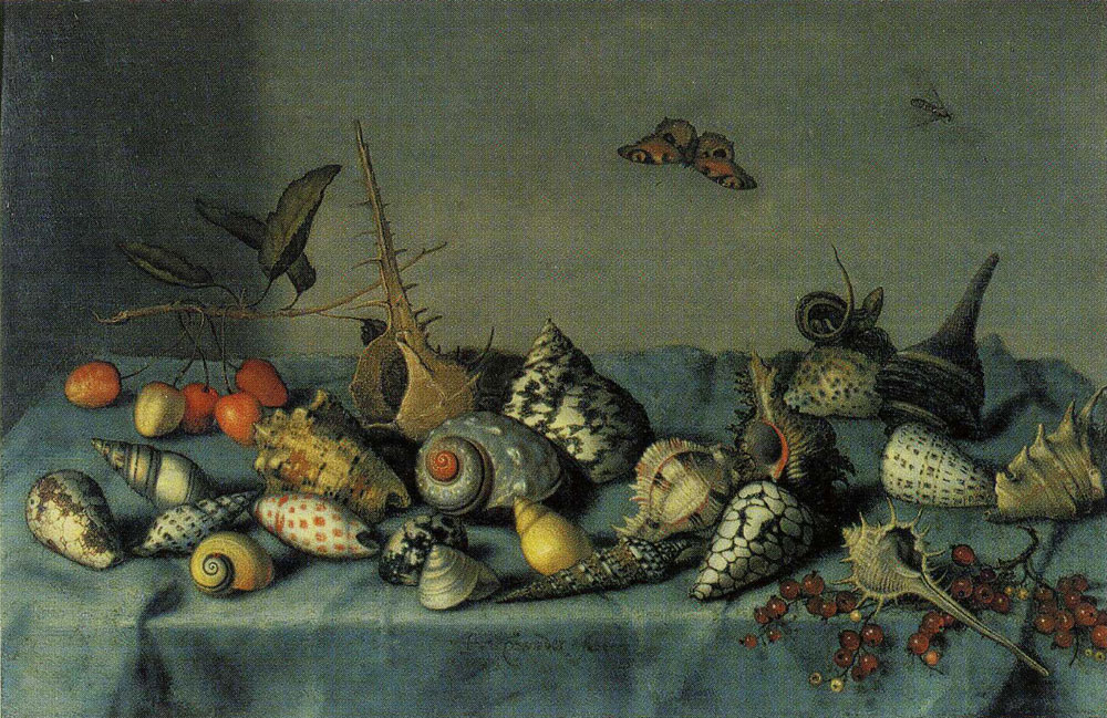 Balthasar van der Ast - Still Life with Shells