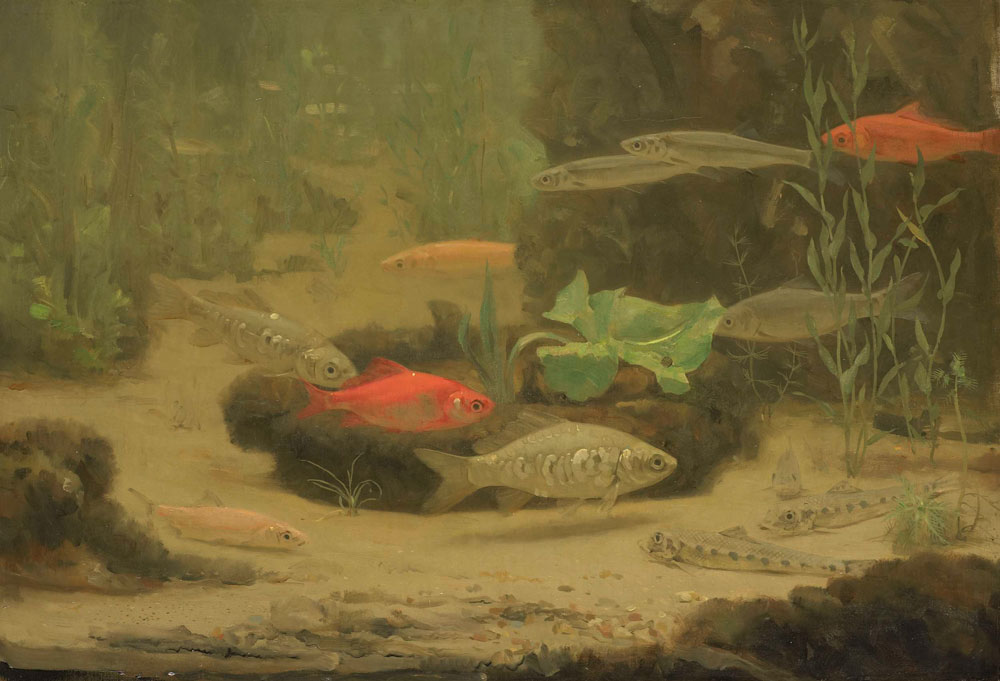 Gerrit Willem Dijsselhof - Gold- and Silverfish in an Aquarium