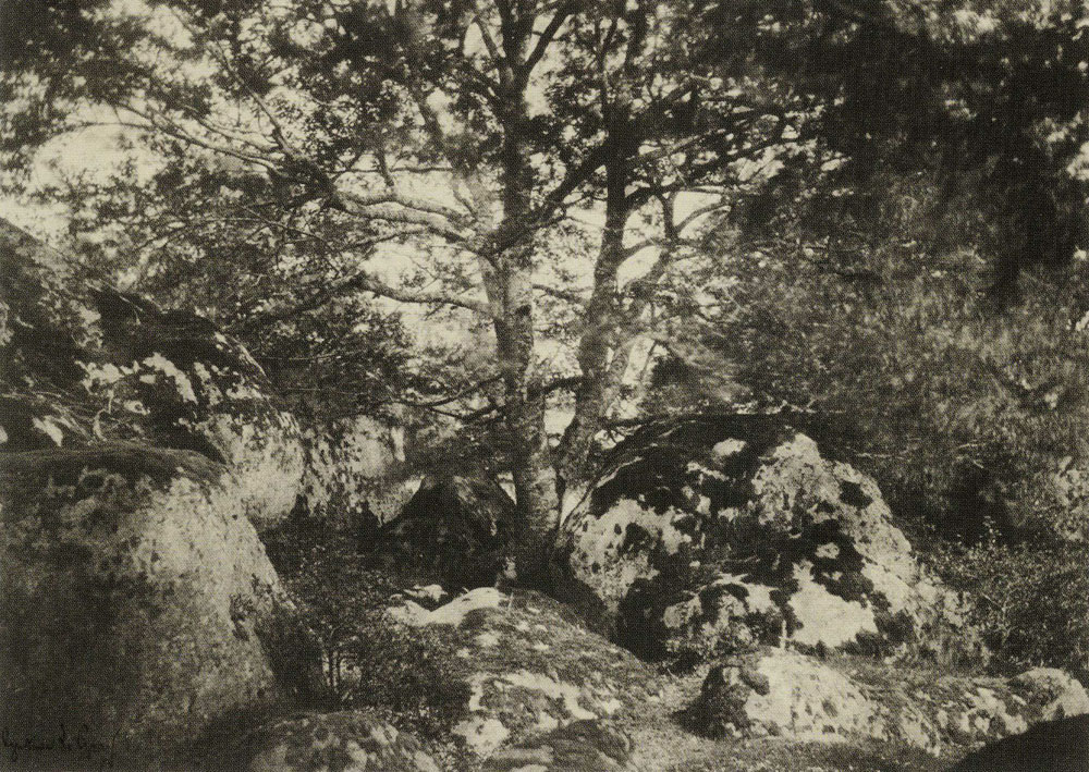 Gustave Le Gray - Oak Tree and Rocks, Forest of Fontainebleau