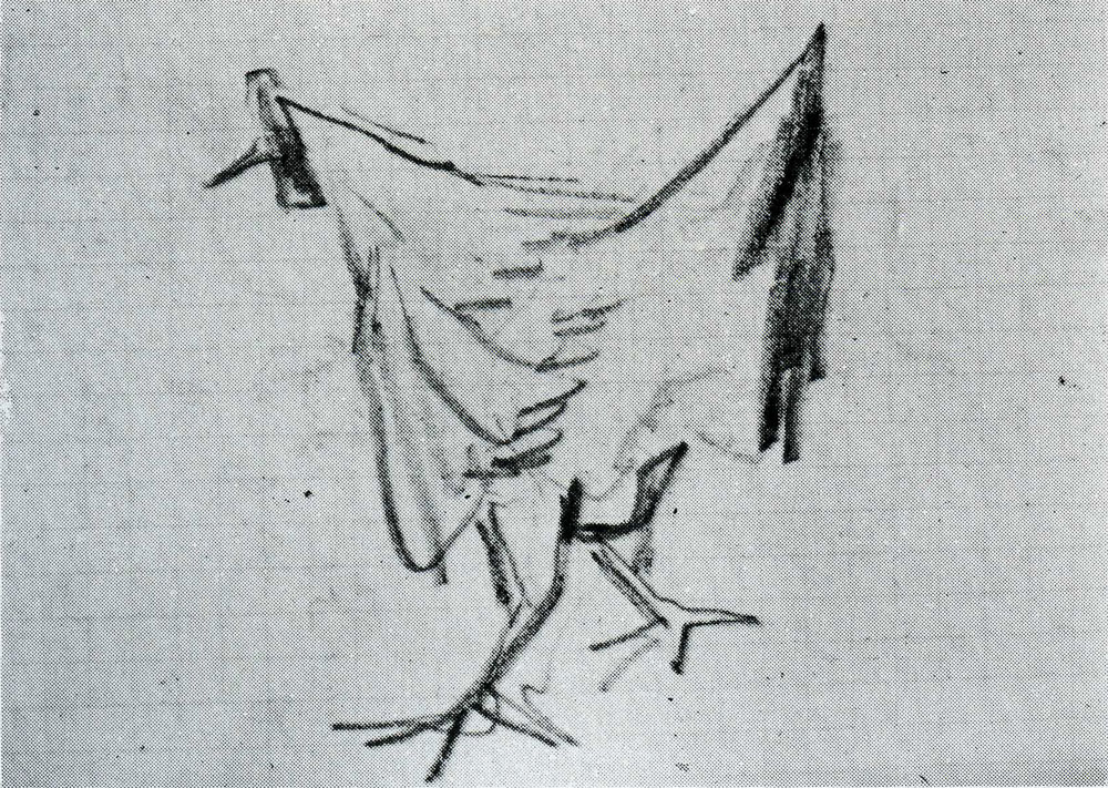 Vincent van Gogh - Sketch of a Hen