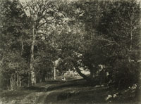 Henri Le Secq Path through a Wood