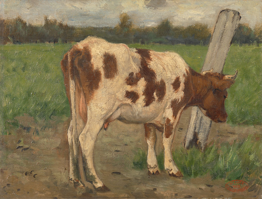 Geo Poggenbeek - Cow