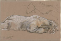 John Macallan Swan Studies of a Recumbent Polar Bear