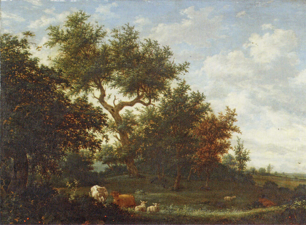 Jacob Salomonsz. van Ruysdael - Forest Landscape