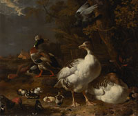 Melchior d'Hondecoeter Geese and Ducks