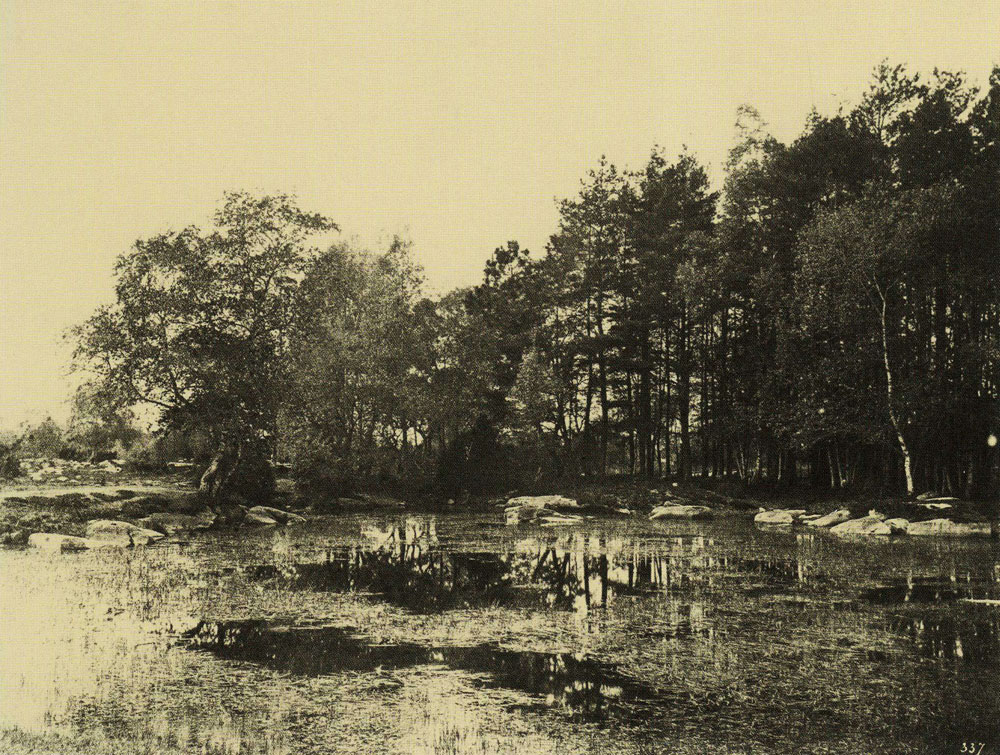 Eugène Cuvelier - Pond at Piat