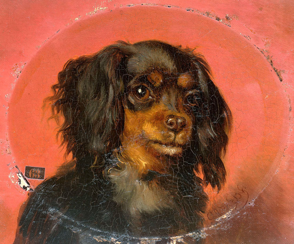 Guillaume Anne van der Brugghen - Portrait of a Puppy