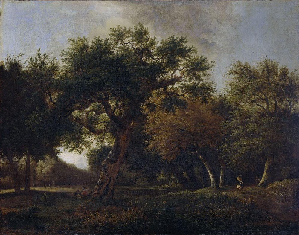 Jan van Kessel - View in the Woods